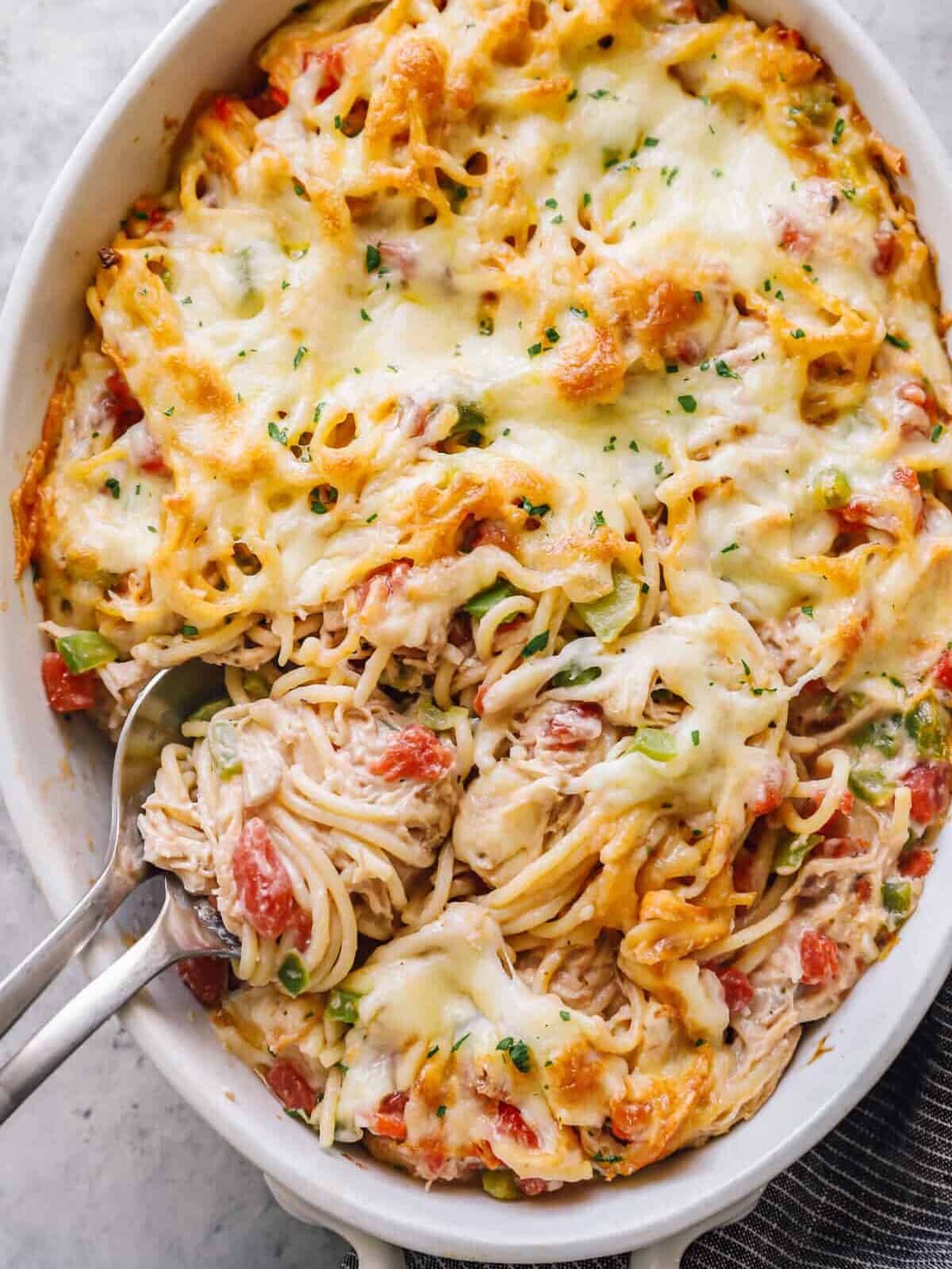 Chicken Alfredo Recipe